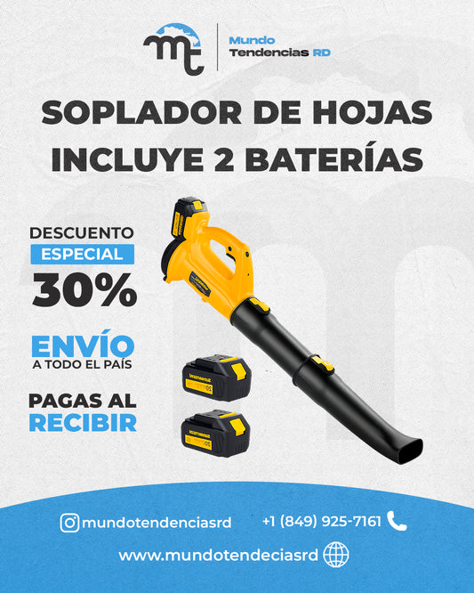 Soplador de hojas con 2 baterías PowerLeaf™ | Potencia portátil: Soplador recargable 21V con doble batería